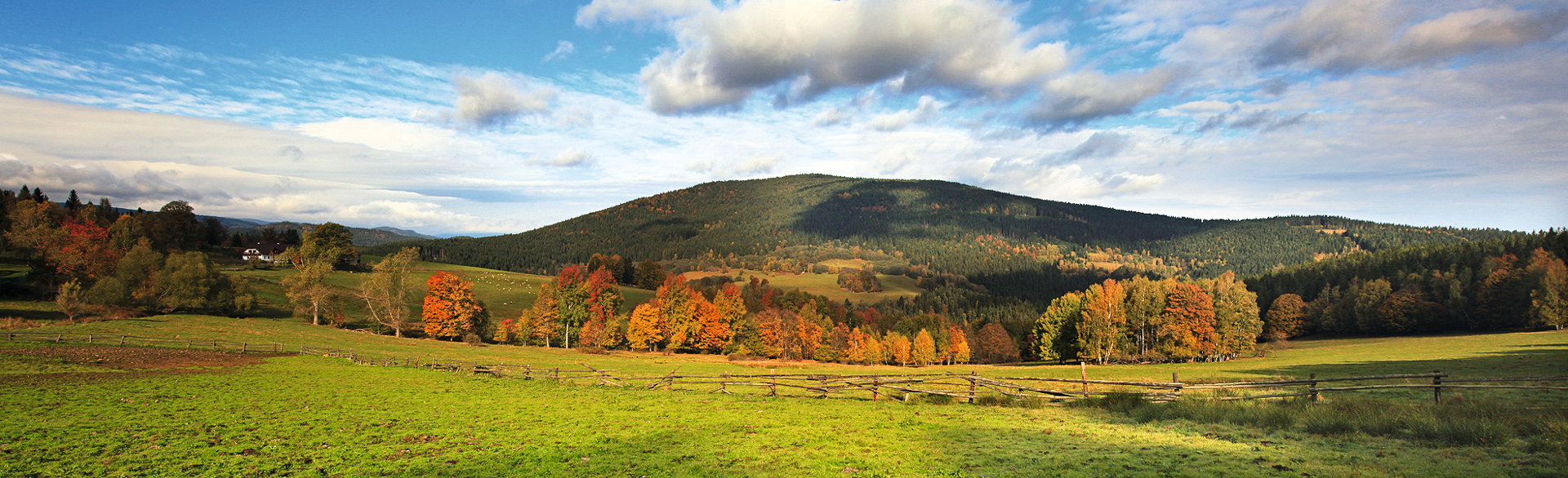 Národní park Šumava